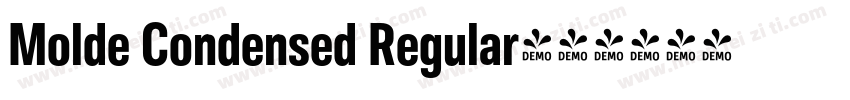 Molde Condensed Regular字体转换